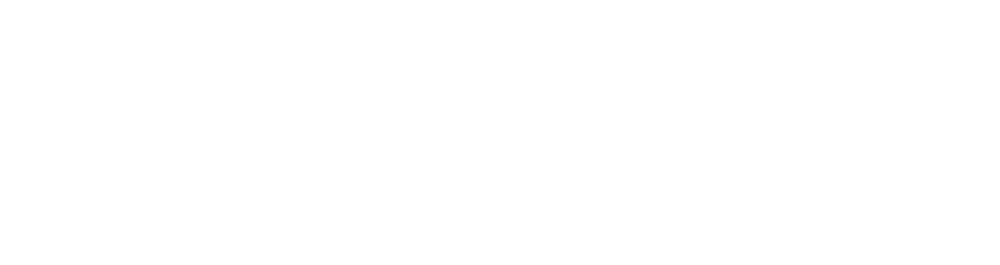 CEE Bridge Advisory Logo